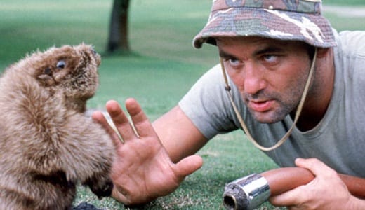 The Very Best Caddyshack Quotes