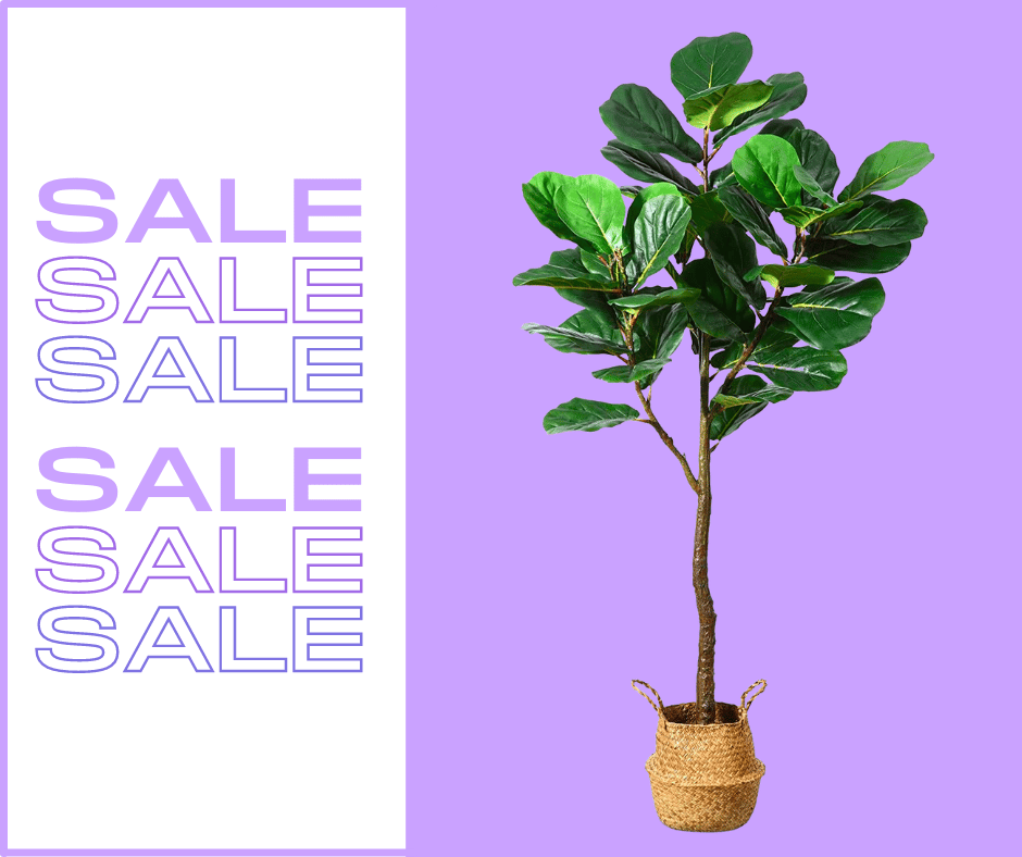 Fake Plants on Sale November 2024. - Deals on Artificial Plants & Trees