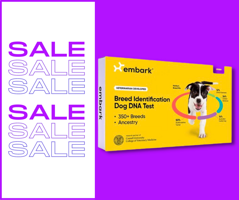 Dog DNA Tests on Sale March 2025. - Deals on Embark Breed Identifier Kits