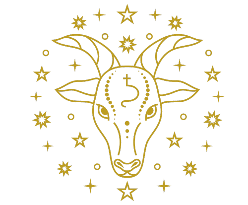 Capricorn Horoscope For Men November 2024