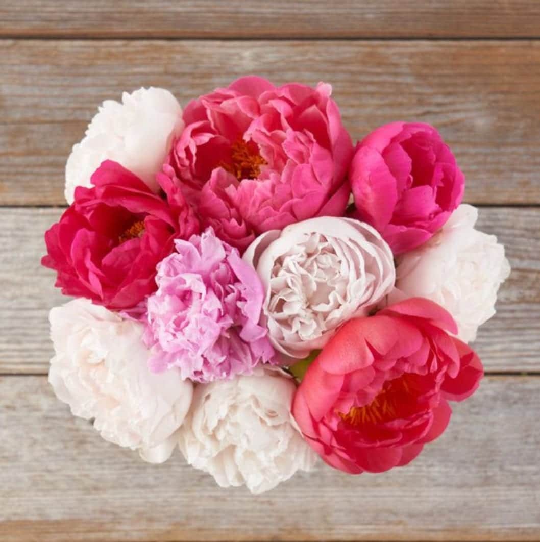 Bouqs Pegasus Pink Peony